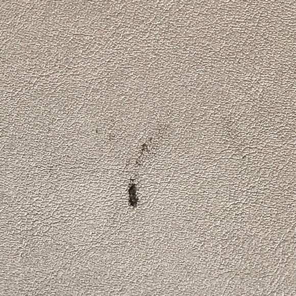 Nine West crossbody purse - Picture 4 of 7